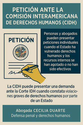 Imagen noticia Petición ante la Comisión Interamericana de Derechos Humanos (CIDH)