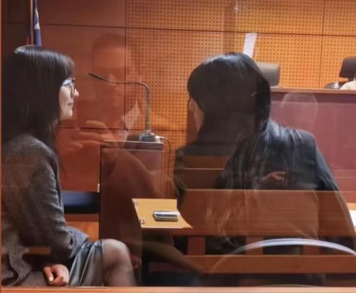 Imagen noticia La defensa penal como pilar del Estado de Derecho